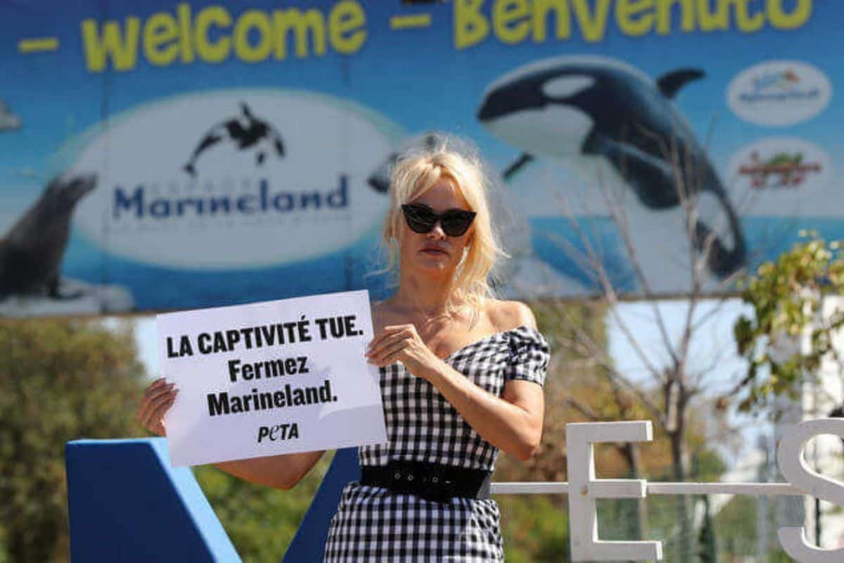 Marineland, Pamela Anderson per Peta